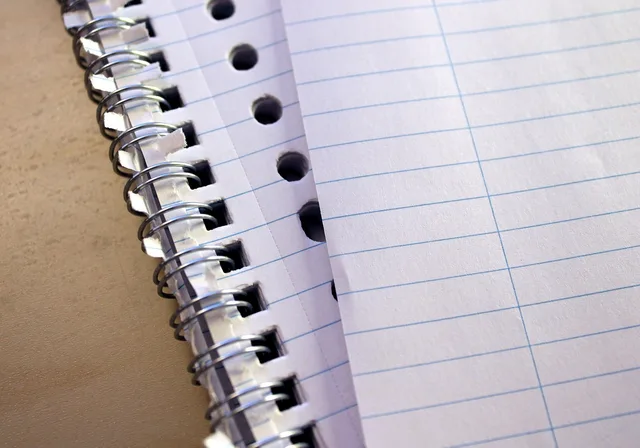 paper, writing, document, business, office, education, notebook, notepad, pad, stationery, blank, paperwork, report, page, work, note. LLC formation steps for a US business: what each filing actually produces