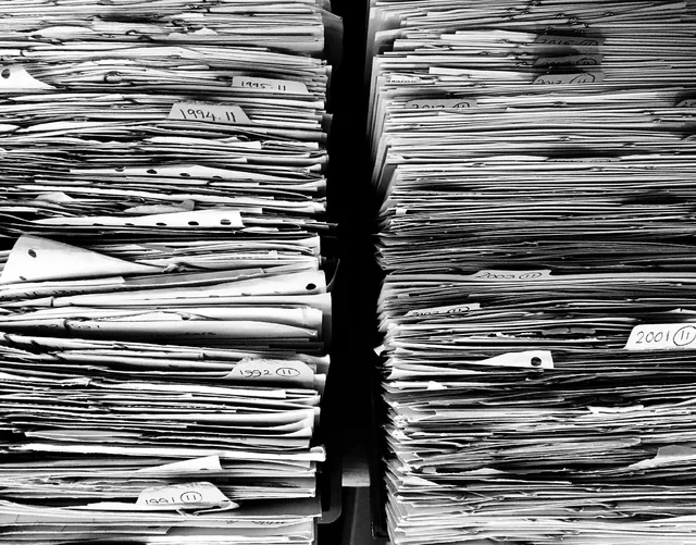 files, paper, office, paperwork, stack, work, data, folders, pile, organize, storage, archive, documentation, catalog, monochrome, black and white, files, files, files, paper, paper, paper, paper, paper, office, office, paperwork, paperwork, paperwork, paperwork, work, data, data, data, data. LLC formation steps in order, and the documents each step produces