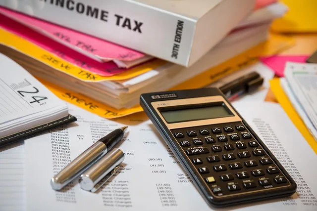 income tax, calculator, accounting, financial, paperwork, tax, finance, taxes, calculate, economy, planning, income, investment, irs, budget, business, money, office, income tax, accounting, tax, tax, tax, tax, tax, taxes, taxes, budget. LLC Tax Choices and Liability Shields